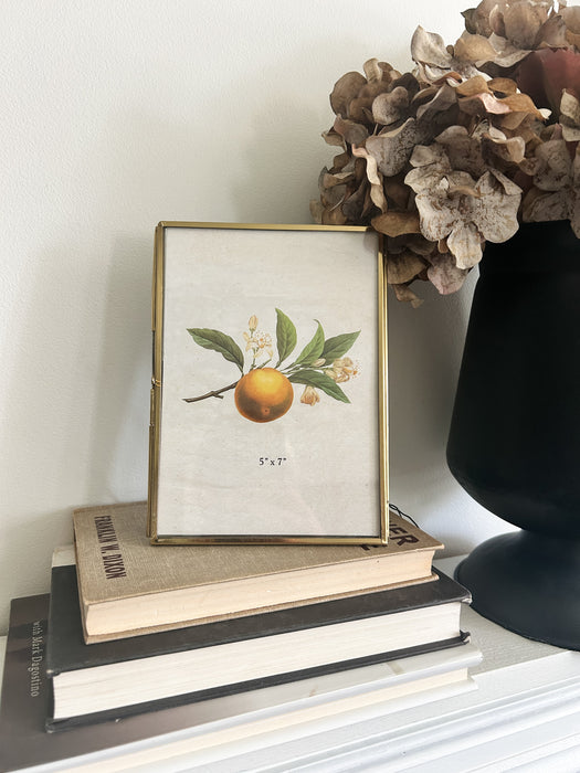 Brass 5 x 7" Photo Frame