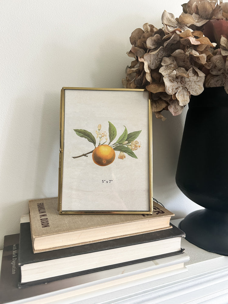 Brass 5 x 7" Photo Frame