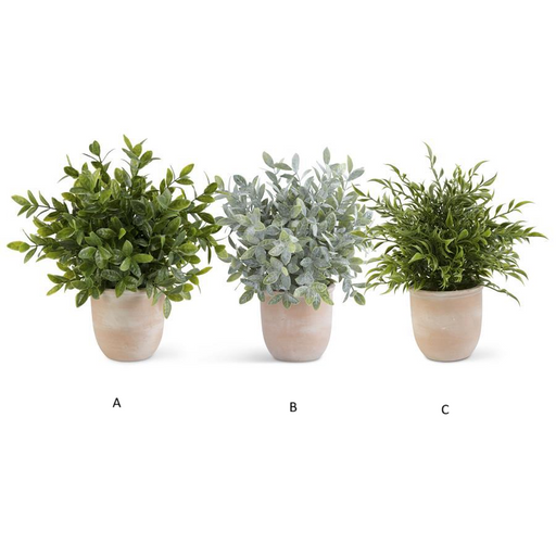Large Potted Terracotta Herbs Assorted
