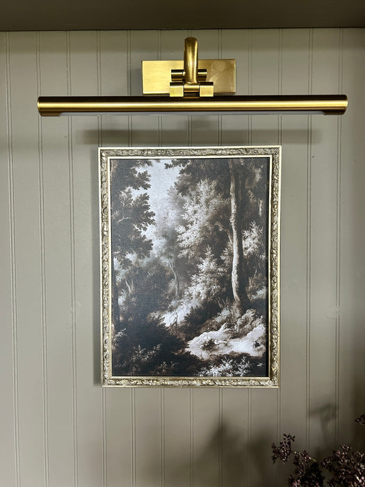 Forgotten Forest Silver Framed Art