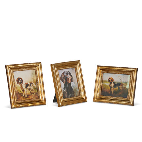 Vintage Framed Dog Portraits Assorted