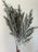 Dusty Sage Honey Grass Spray