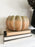 Large Pumpkin Planter