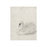 Swan Sketch Vintage Art Print (no frame)