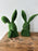 Moss Thoughtful Bunny Busts