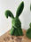 Moss Thoughtful Bunny Busts