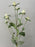 White Thistle Spray