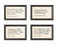 Collected Notions Wall Signs Assorted