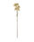 Cream Pom Pom Spray