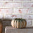 Small Pumpkin Planter