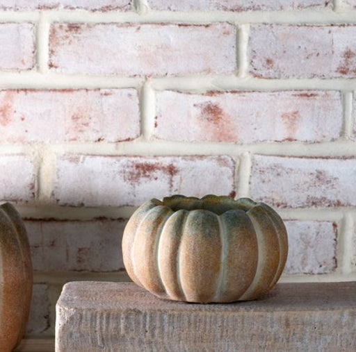 Small Pumpkin Planter