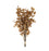 Creamy Brown Dried Eucalyptus Bouquet