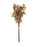 Creamy Brown Dried Eucalyptus Bouquet
