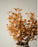Creamy Brown Dried Eucalyptus Bouquet