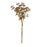 Russet Meadow Grass Bouquet