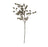 Moody Plum Dried Berry Branch