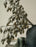 Dried Grey & Green Berry Branch