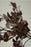 Dark Brown Purple Autumn Leaves Branch