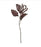 Dark Purple/Burgundy Dripping Seed Stem