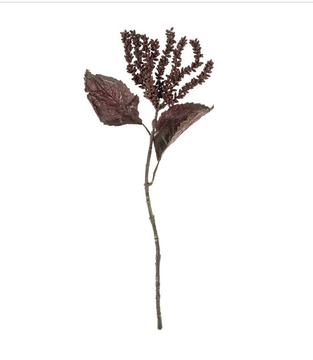Dark Purple/Burgundy Dripping Seed Stem