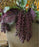 Dark Purple/Burgundy Dripping Seed Stem