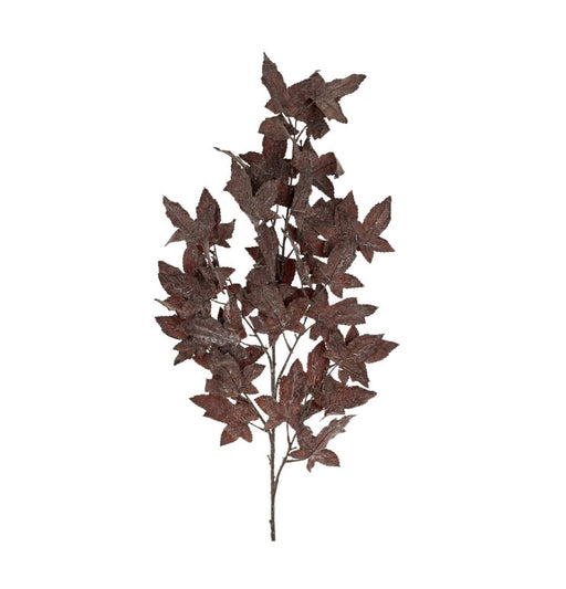 Burgundy Maple Leaf Branch