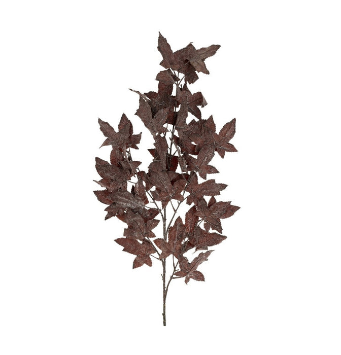 Burgundy Maple Leaf Branch