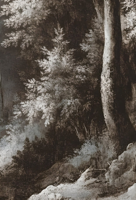 Forgotten Forest Silver Framed Art